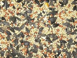 Wild Bird Seed For Custom Seed Favor Packets