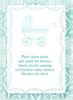 Aqua Baby Carriage Seed Favors