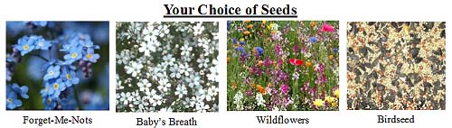 Lettering & Seed Choices (FREE)