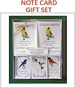 Note Cards Seeds and Tea Gift Sets